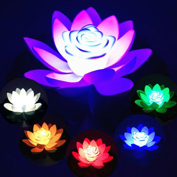 LED lotus lamp-pamma store